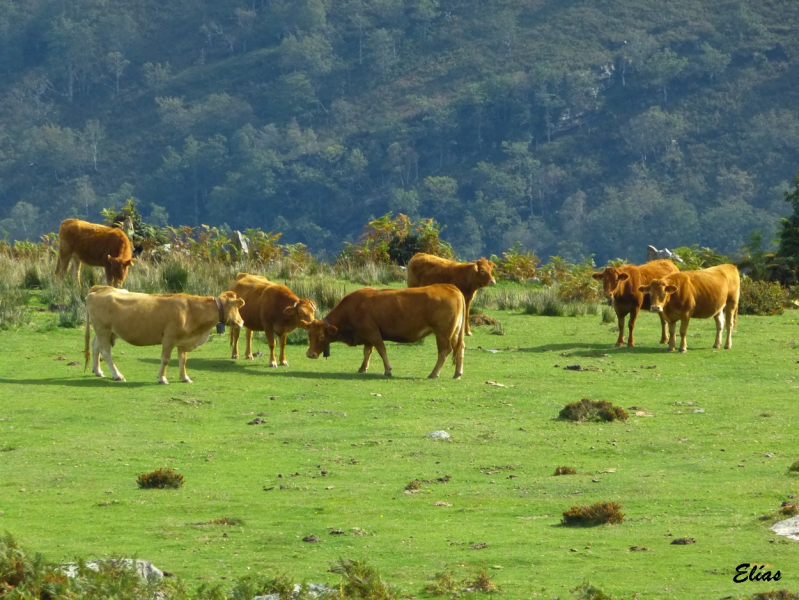 02ce35040fe5a30d80d589dc32ca3636