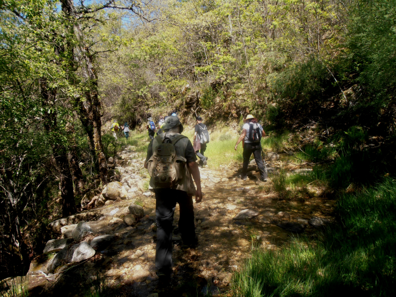 061f5285476216f974ed85b493b248e4