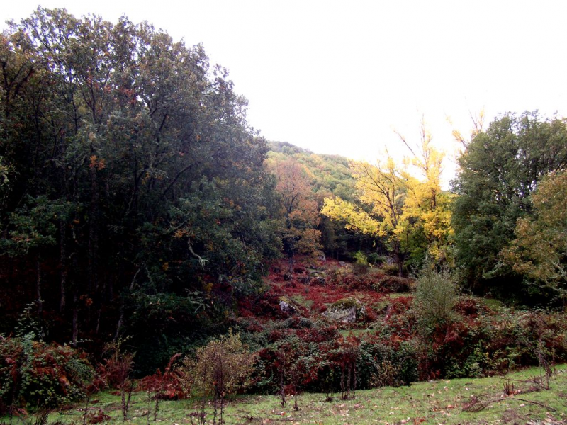 07ea1d351080f439e8873e76cb5a510e