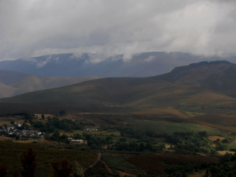 0d61669bd381cfbf7fe90de6f32cb878