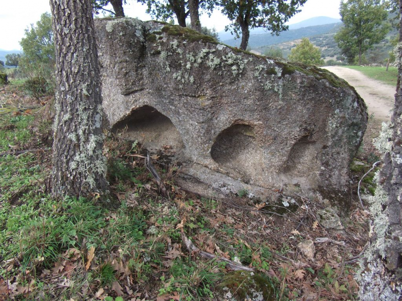 10a30e07a230822cc0aa052df76a88f2