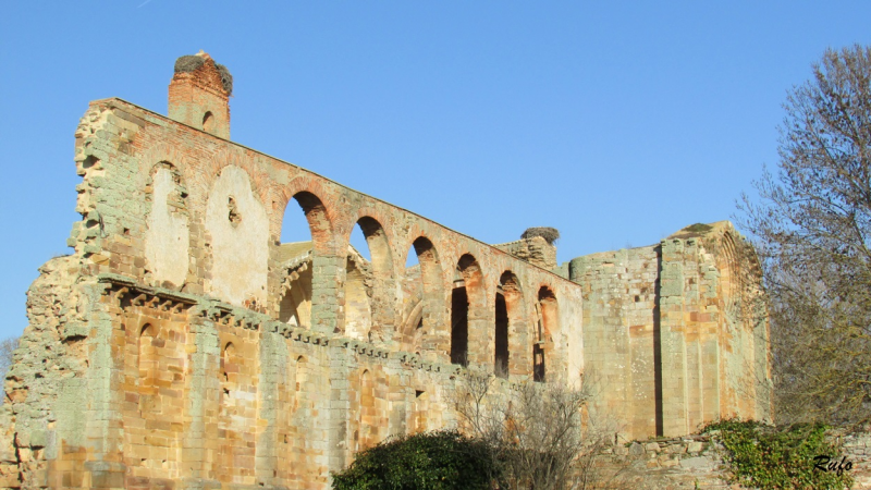 1770a011293a29e1d76d1a8843359183