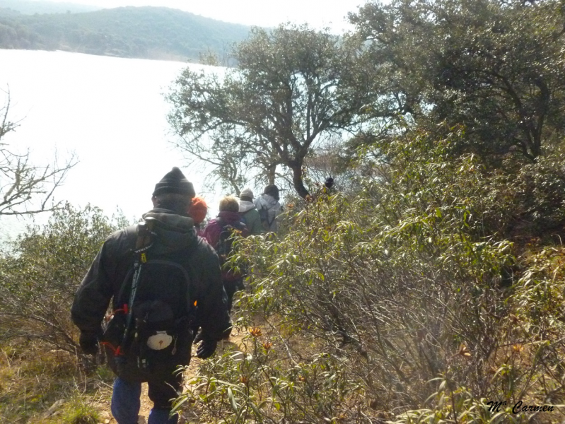 2c239c68909a0f27c75247bf2b41054d