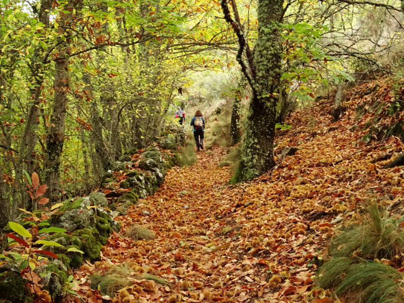 380558c5150689a92c777199ffbc355d