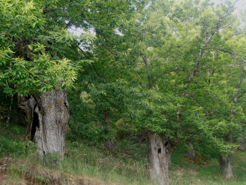 3e5275eee8576d202f1d91db4438c3c2