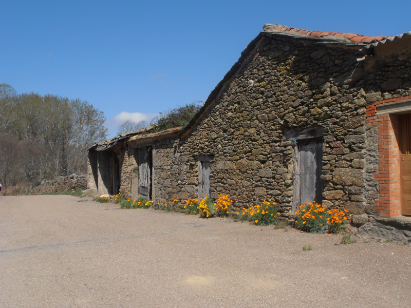 41c5209a9f86a5bb1529261edee0a0b4