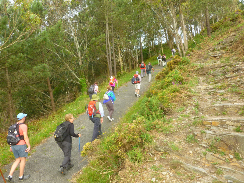 41fb8721eb957534c62af77671cc0275