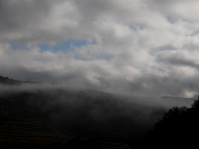 4420dd15f982327391699334221b9bac