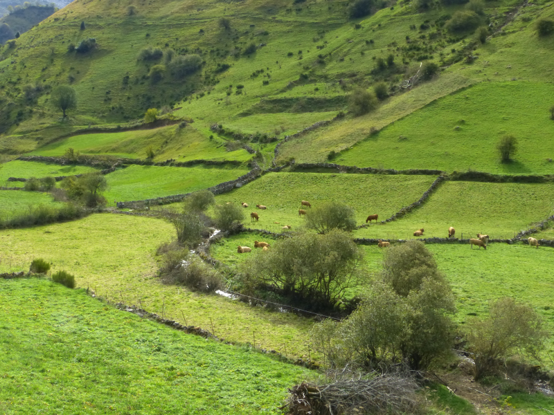 5a0efc610cddf7d6dad0843300a35625