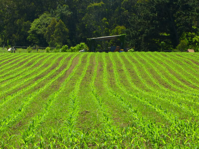 60ed290e9dc005520a6a14ec71639e05