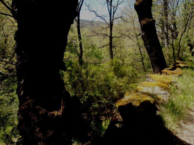 62a88ceee3051791c896c7adfb4327f1