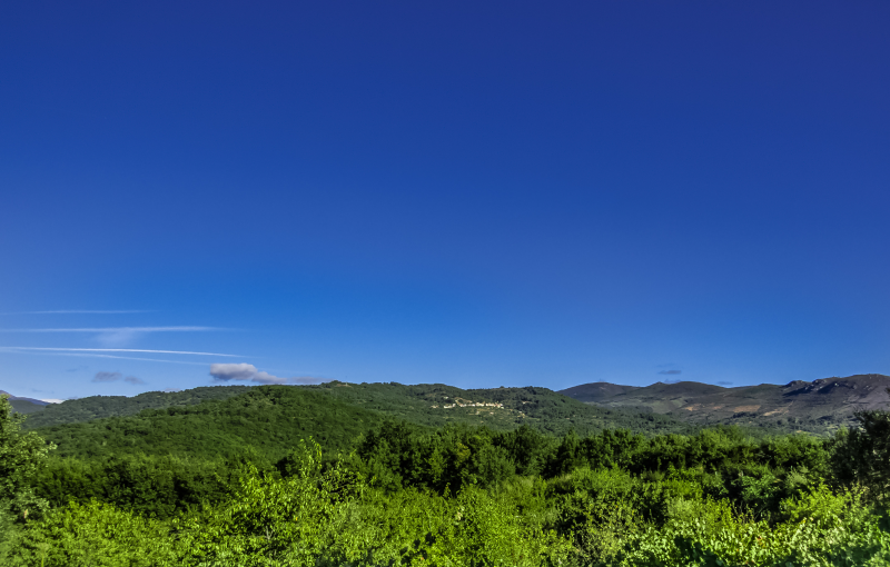 6b9250f546df8c28f6887f8439a4b0c3