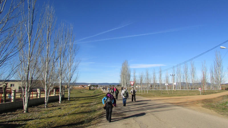 734b329ed3b8e005fca48b3c6ab01d9c