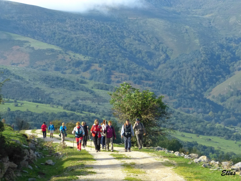 7373ed7b45de42d89252ef6493a18ba0