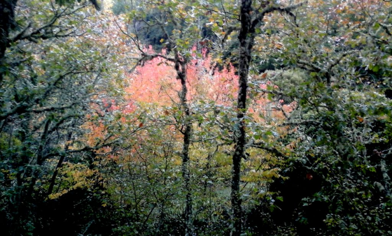 73affaf454d5151835e07437097d7efc