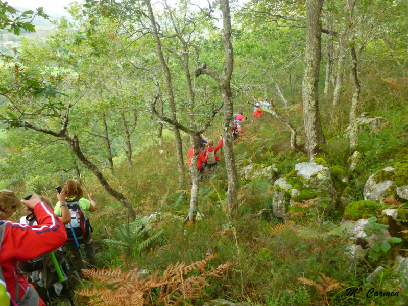 851bf00bfe1509d6702b25f262f63d50