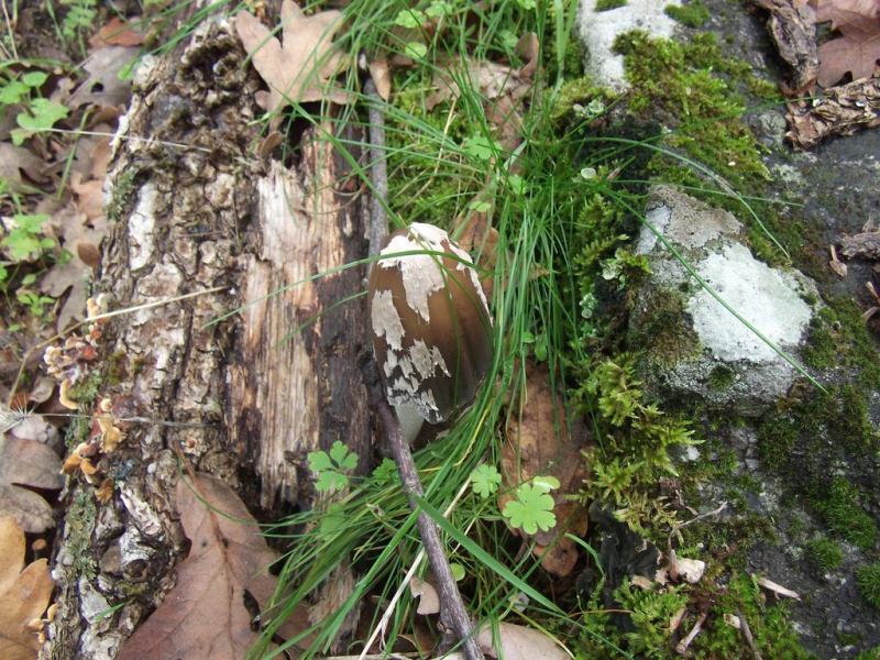 9aa6edbb85e94553e1a29589b6ba38c0