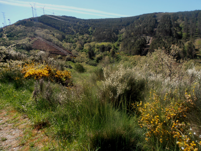 9d8a04d3f7cdcd6e95f6dc95db482757