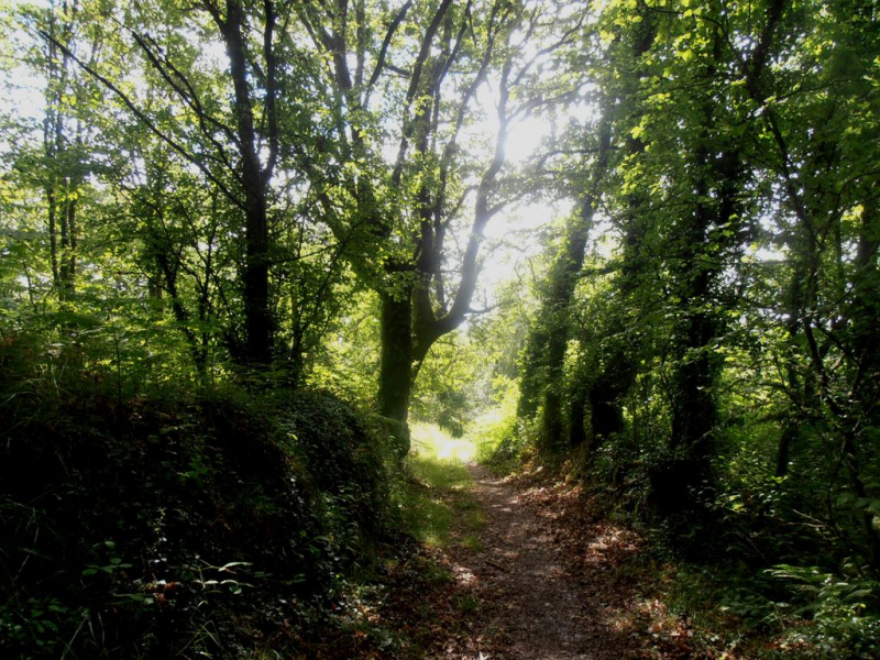 9e9e4c19adbda3dc9341198252b3c18d