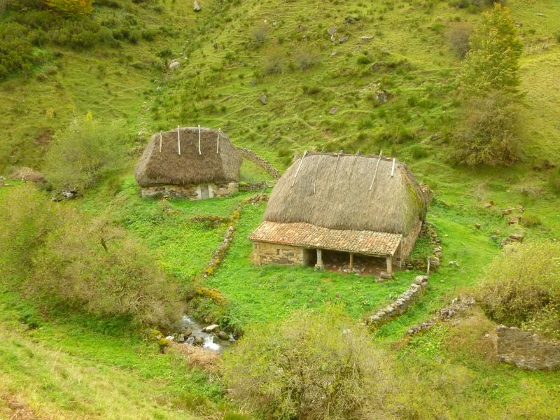 A183b2afd8c3c59d3bd366a5cd7a3ffa