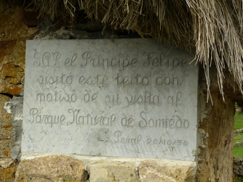 A32ee300559f6efb009a5fb4f2aa92bb