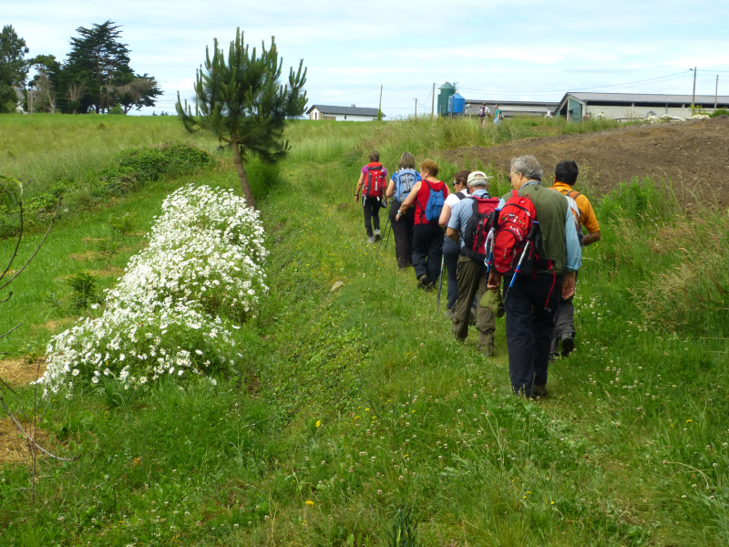 Adb10f3f8e05fca75446853b5bab8249