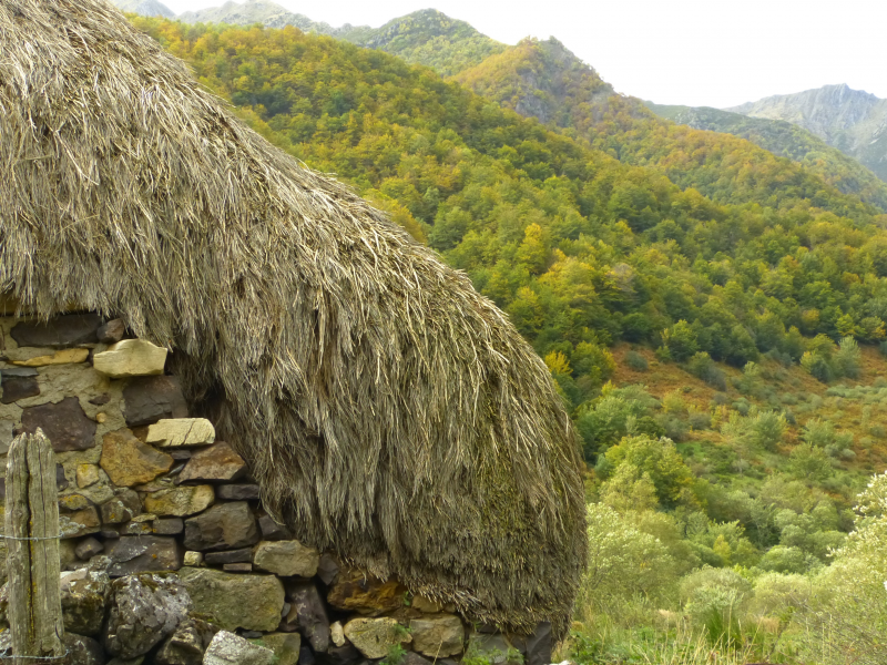 Adf30c135016aa04331d966e81f990dd