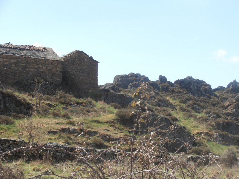 B1154490b64725b954e2ac679ea3dd3d