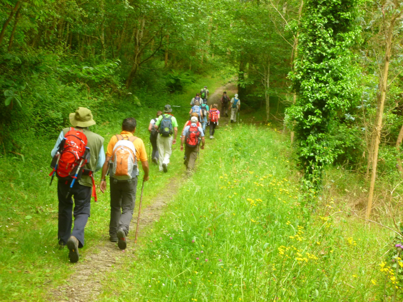 B32b9ba2b78ba78a8ec24ba2a4a543aa