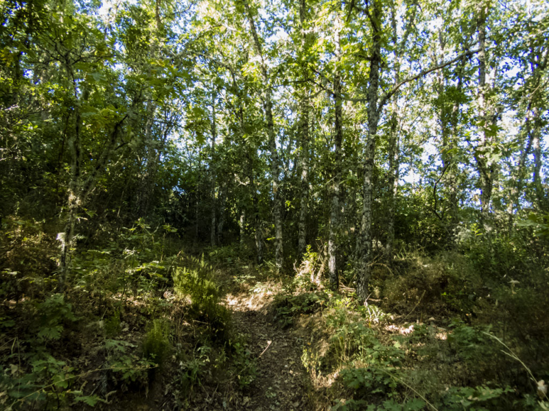 B693dcc8084b4c113dca992873a006af