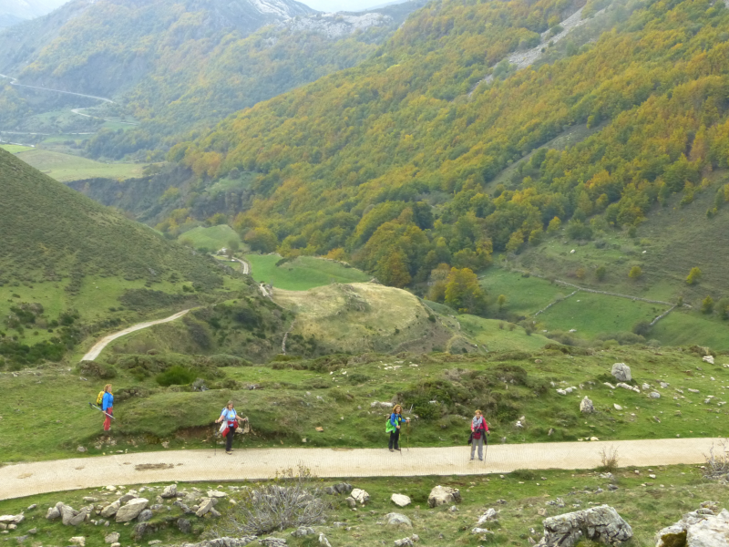 B7f9abe224b5d4ce210b78dfaf2cd35f