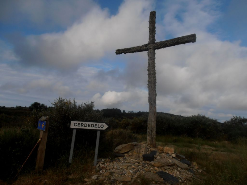 Bca21ce866fecd36a9fd2d91a46df6c7