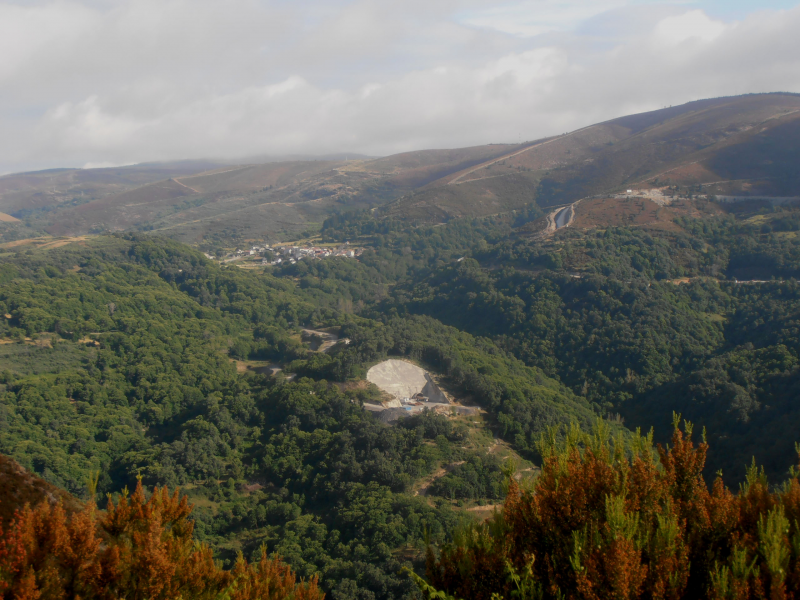 C251e530f686b1a83ee42ff7e6866968