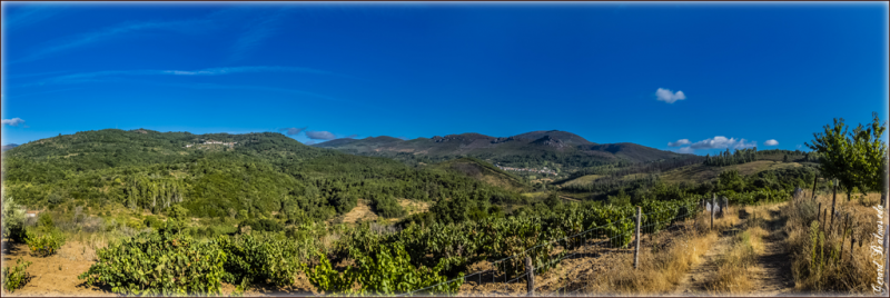 Cc9834aa5c0235958b4305f7e3f9790a