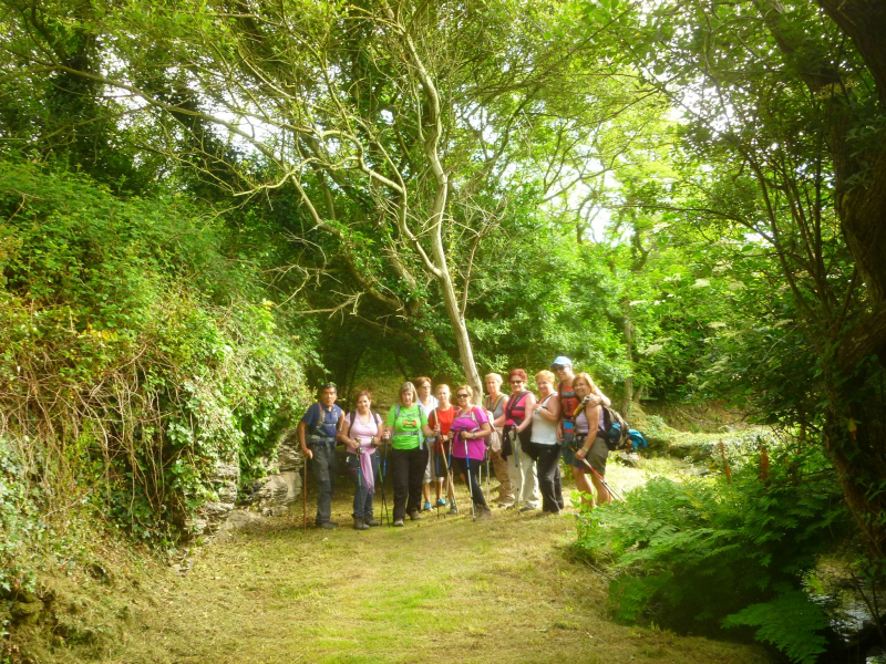 D6645104a9035c6ffb12be7998932d1b