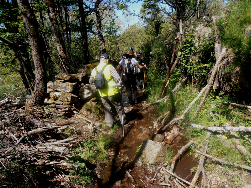 D86d9f7f07648790656648251f41ae6b