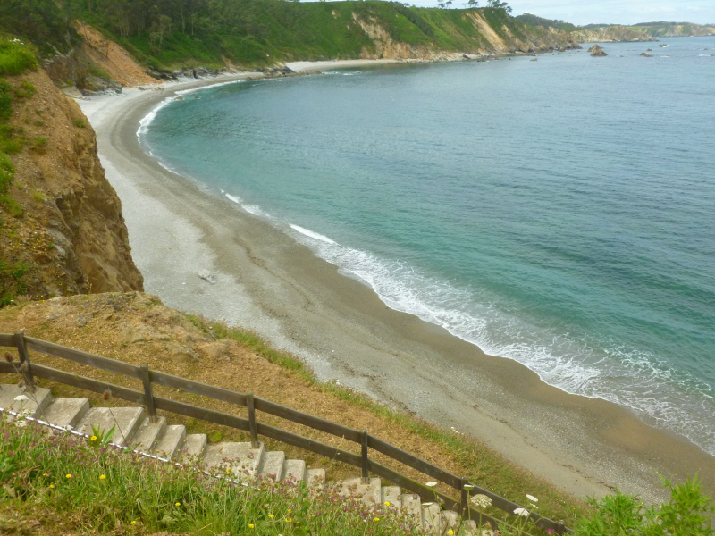 D889815518d93e7c9ca874efa2f688ea