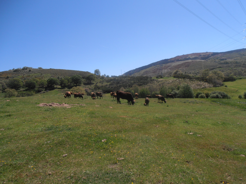 D8968fc687074bb01d309e996b0f0eef