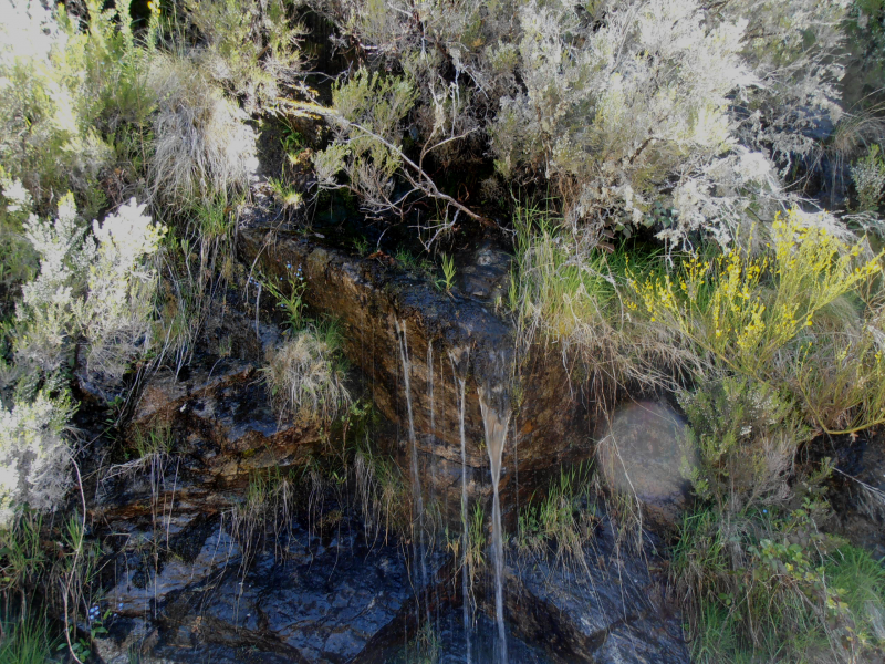 Db877ef1eb278a798f8ace5b3896f931