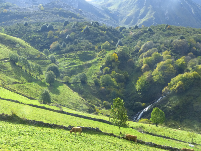 E28531bc850e9914cf2e6798159e4015