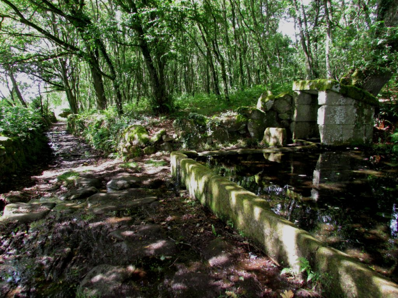 E3b0745e9e9d8ef4cfcae04db28487c1