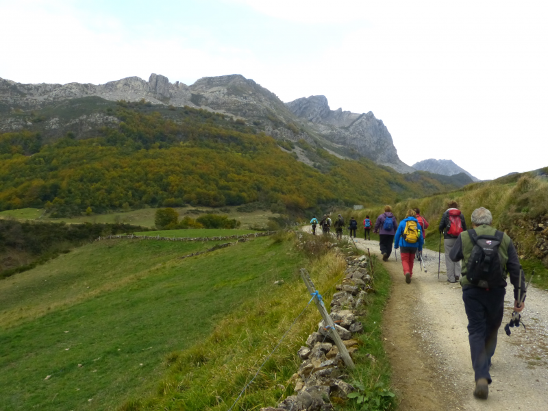 E7e6d210970fcc8d4466af0580461b52