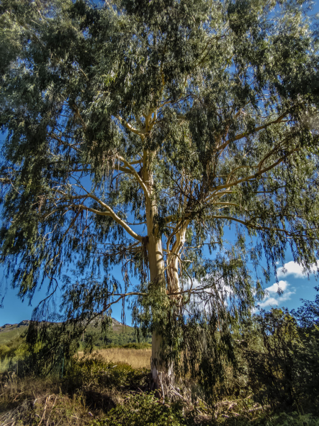 F4f6dcafc84680f067b7f27433dc784f