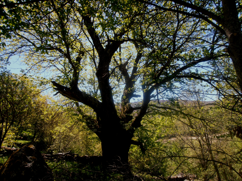 Fea90b0247b9f1d6057a2ccbe6e7447d