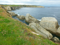 05ad6db5d670da1692cbb8f95caf1212