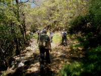 061f5285476216f974ed85b493b248e4