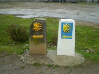 081777bfac263ebe2dd30cfb7ad31811