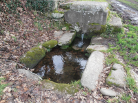 1a3570291e650228a61c962b144533dc