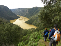 1d3075b591a314ca2d38003849bdeea9