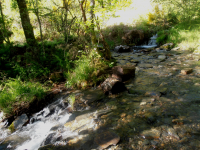 2228f4d7360c3f796dc1746218ea5c37